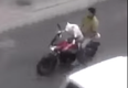 Video: This Indian dog drives a motorbike better than you