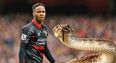 Raheem Sterling caught up in snake charming controversy