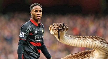 Raheem Sterling caught up in snake charming controversy