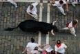 Ouch! Spanish man takes a bull horn to the a*se