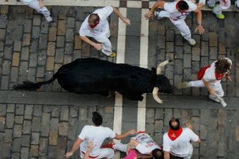 Ouch! Spanish man takes a bull horn to the a*se