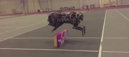 Video: This jumping robot cheetah brings the rise of the machines a step closer