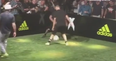 You sure he’s a goalkeeper? Zinedine Zidane’s son nutmegs Man United’s Ander Herrera