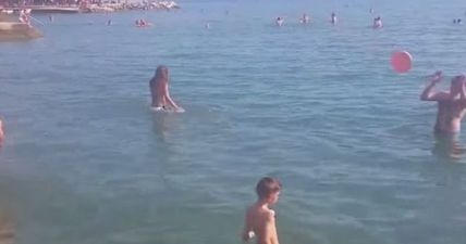 Never mind the Balkans: Bosnians in frisbee fail