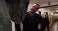 Jurassic World star Chris Pratt caught out by dinosaur prank (Video)