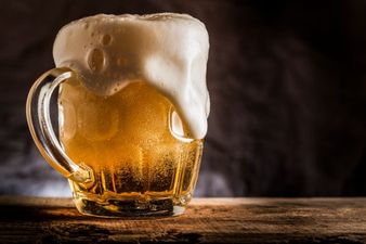 Chinese scientists may have found ‘healthy beer’ holy grail