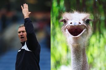 Former Leicester boss Nigel Pearson doesn’t like being called an ‘ostrich’ (Video)