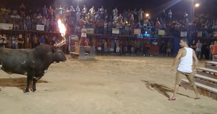 Man taunts bull with flaming horns and gets exactly what he deserves (Video)