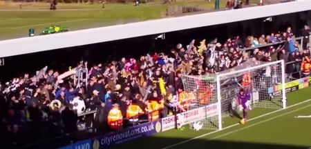 Football fan prosecuted for hitting steward with inflatable shark (Video)