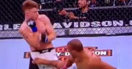 UFC Chicago saw the most painful nutshot in the history of anything (Vine)