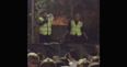 Stewards outshine Ed Sheeran with brilliant display of crowd control (Video)