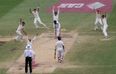 India Test match halted by this unusual pitch invader (video)