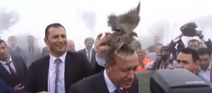 Turkish president has a tete-a-tete with an angry bird (Video)