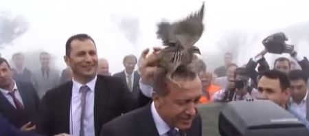 Turkish president has a tete-a-tete with an angry bird (Video)