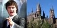 This lad applied for a place at Hogwarts…the UCAS response he got was brilliant