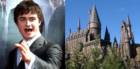 This lad applied for a place at Hogwarts…the UCAS response he got was brilliant