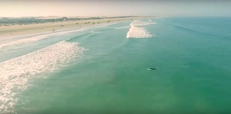 Drone captures surfers’ close encounter with shark