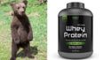 This tiny bear cub had a hilarious mishap with a tub of protein powder (Pic)