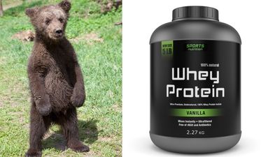 This tiny bear cub had a hilarious mishap with a tub of protein powder (Pic)