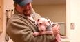 We guarantee you that this pitbull puppy will melt your heart (Video)