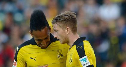 Dortmund players celebrate goal by *slapping* cameraman