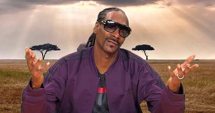 Move over Attenborough – Snoop Dogg tries his hand at the natural world (Video)