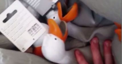 Man annoys girlfriend with an army of inflatable ducks (video)