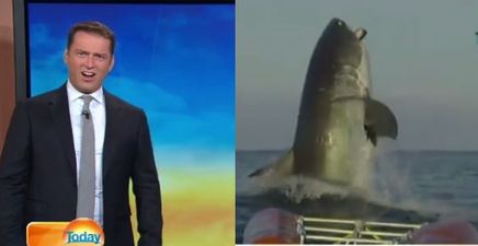 Australian news reporter’s hilarious reaction to this huge shark is priceless (Video)