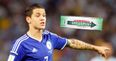 Everton’s Mo Besic sent off for Bosnia… for throwing his chewing gum at an opponent (Video)