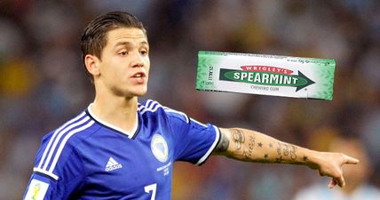 Everton’s Mo Besic sent off for Bosnia… for throwing his chewing gum at an opponent (Video)