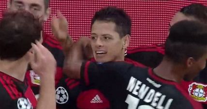 Chicharito’s performance for Bayer Leverkusen may have Louis van Gaal feeling regretful