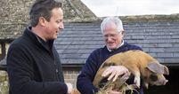 Monarch accused of bestiality was the spitting image of David Cameron (Pic)