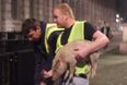 David Cameron gets a porky delivery for Downing Street (Video)