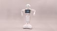 New rulebook says strictly ‘no lewd acts’ with Pepper the robot