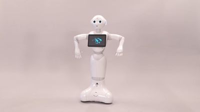 New rulebook says strictly ‘no lewd acts’ with Pepper the robot