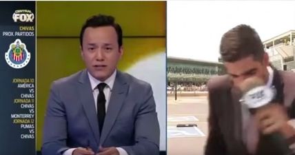 Watch this football reporter get hit by a car live on air