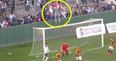 Watch this football fan remarkably survive a huge fall from the stands