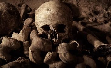 Airbnb wants you to spend a romantic Halloween night in a mass grave in Paris