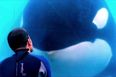 Jackass star Steve-O sent to jail over his SeaWorld stunt (Pics)