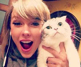 Here’s the proof the world officially loves Taylor Swift