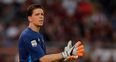 Arsenal outcast Szczesny celebrates Poland’s Euro 2016 qualification in style (Video)