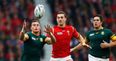 The best Twitter reaction to Wales and South Africa’s epic World Cup quarter final