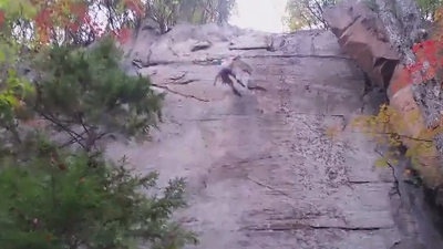 Rock climber saved by his harness after terrifying 50-foot fall (Video)