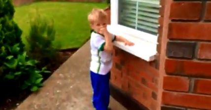 The little Irish rugby fan is absolutely devastated about the World Cup exit (Video)