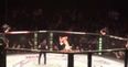 Incredible fan footage of Neil Seery’s neck crushing submission of Jon Delos Reyes (Video)