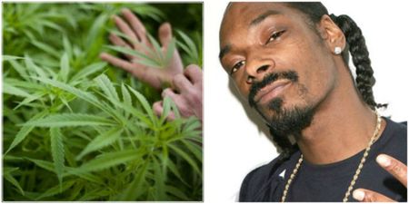 Snoop launches his own cannabis brand ‘Leafs By Snoop’