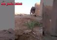 Iraqi soldier with balls of steel evades ISIS sniper by using his brain (Video)