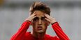 Dortmund sporting director speaks out about Januzaj Man United return rumours