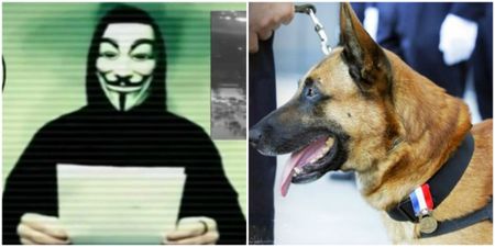 Anonymous are taking revenge on ISIS for the French police dog killed in Paris raid