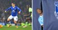 Everton fans hail the class of Muhamed Besic…and mock Yaya Toure